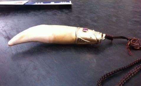 云南昆明長水機場X光機大顯神威嗅出老虎牙齒[圖]